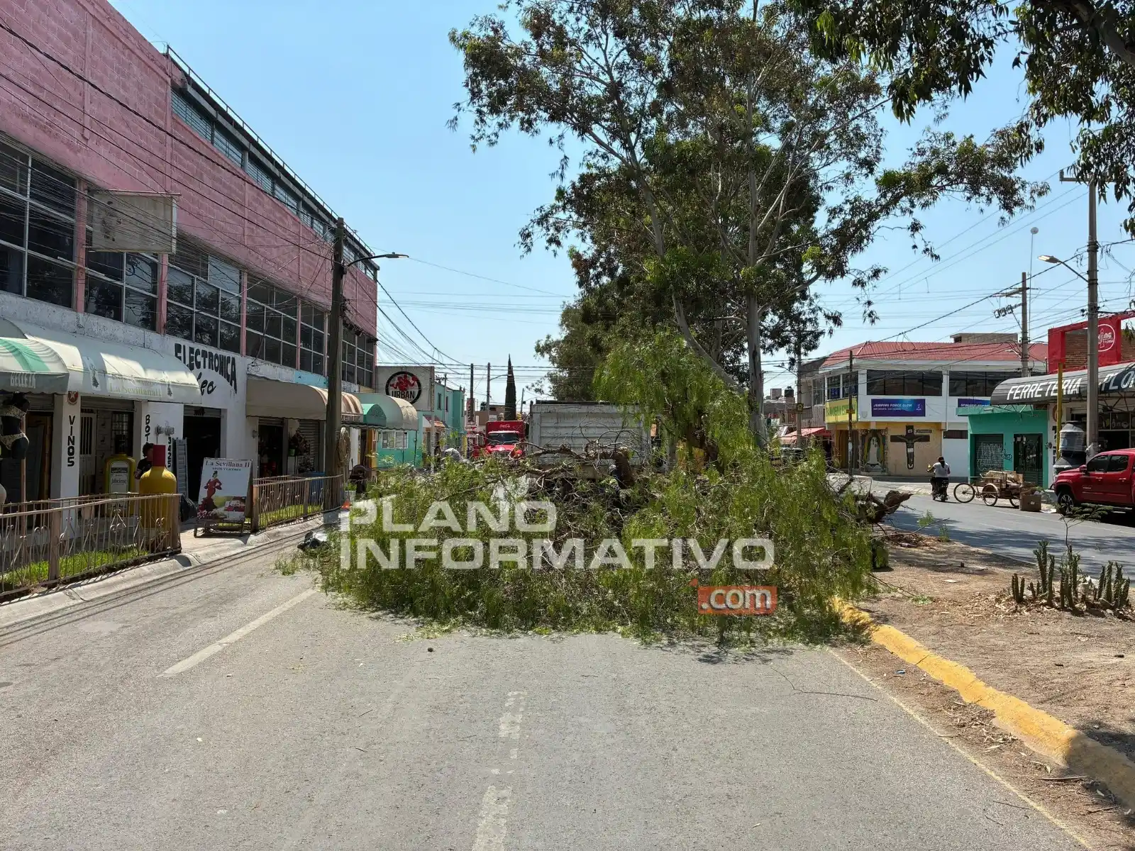 Image from Plano Informativo: <a class="text-blue-500 hover:underline cursor-pointer" href="/hashtag...