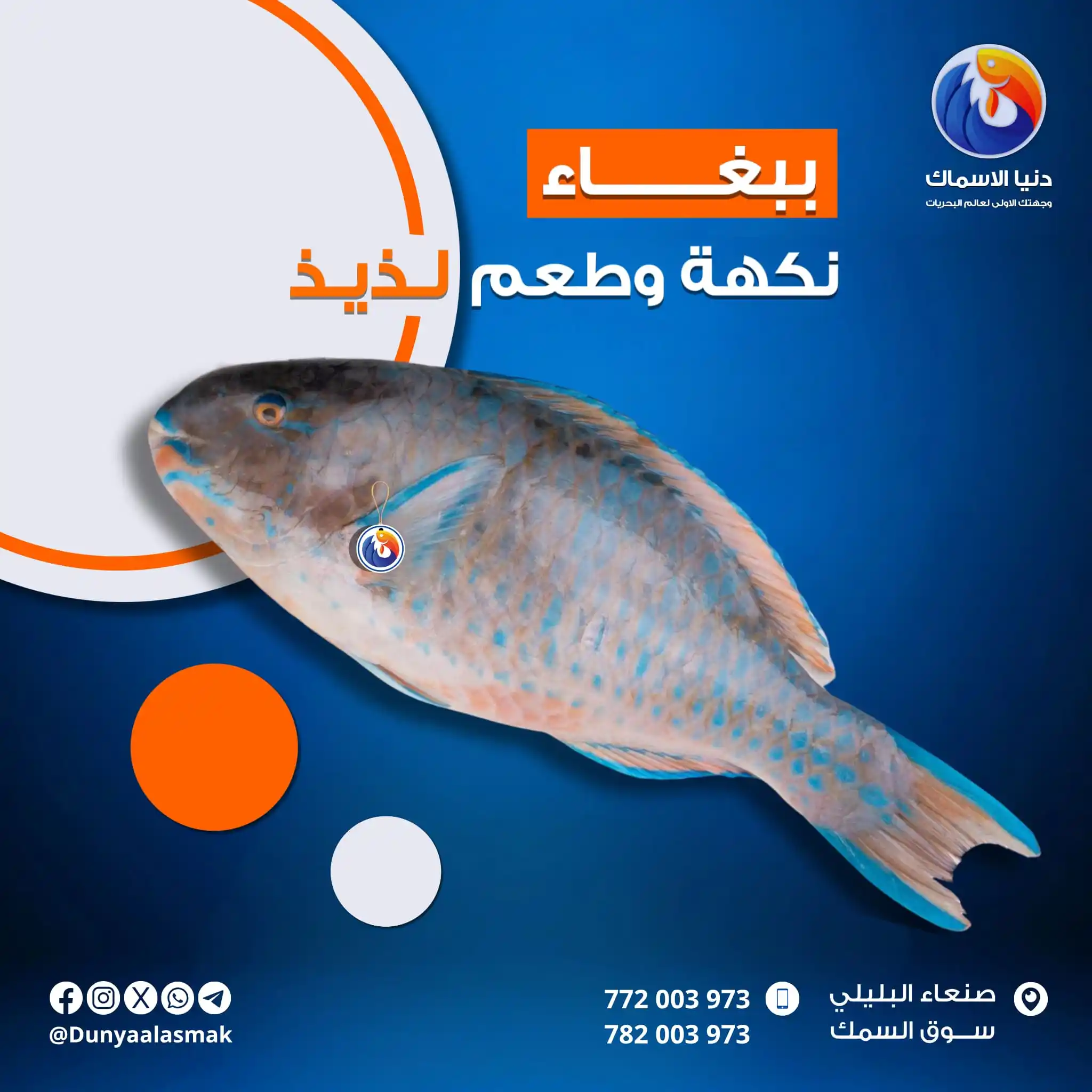 Image from دنيا الاسماك: ببغــــــاء🐟 نكهة وطعم لذيذ😋 سمك الببغاء فصيلة من حوالي 75 نوعًا من...