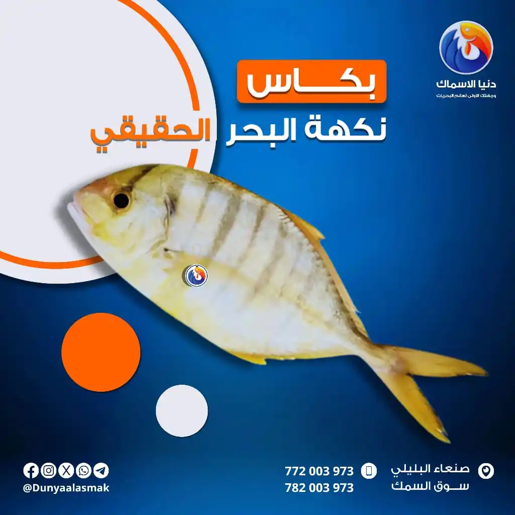 Image from دنيا الاسماك: بكــــــــاس🐟 نكهة البحر الحقيقي🌊 سمك البكاس من الاسماك السطحية ويت...