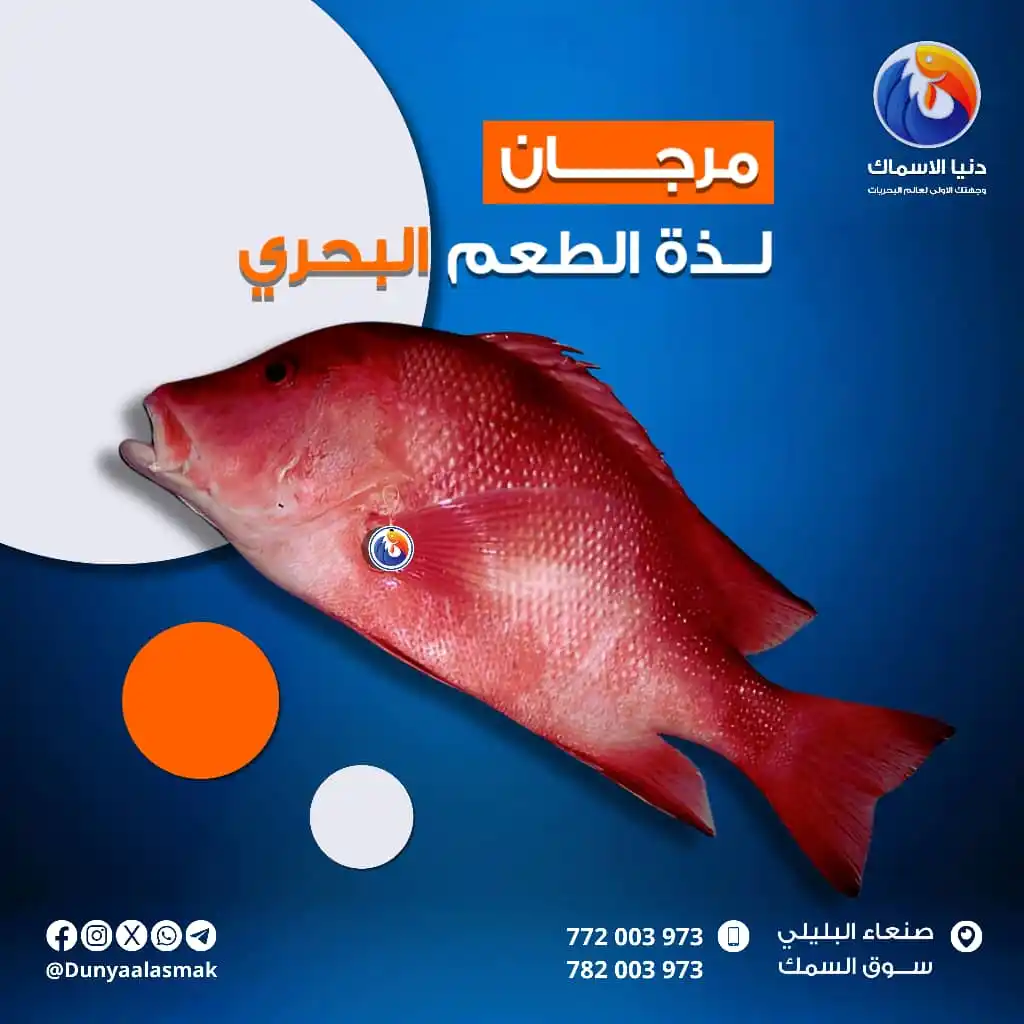 Image from دنيا الاسماك: مرجـــــــان 🐟 لــذة الطعم البحري 😋 يعتبر سمك المرجان من أشهى وألذ ...