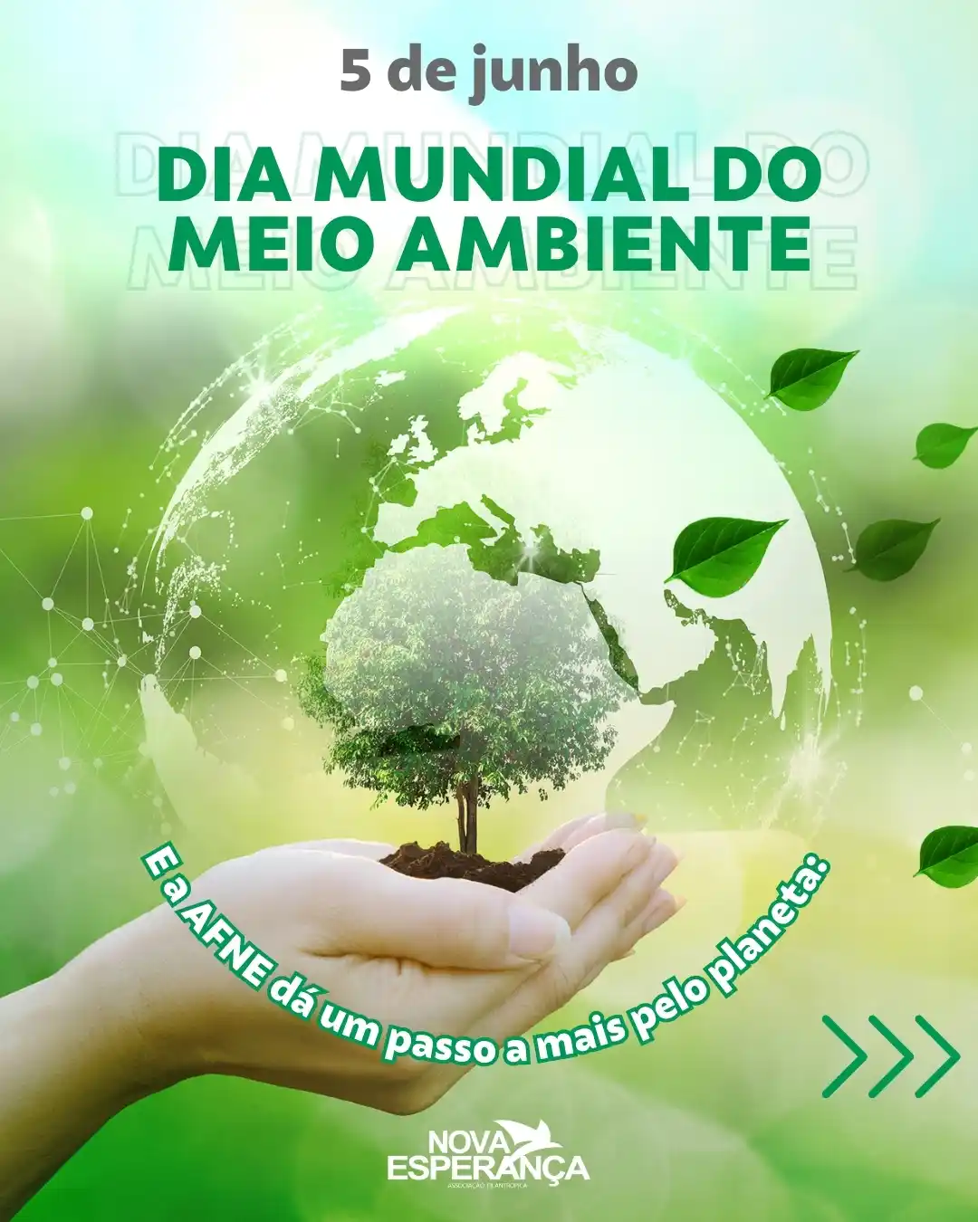 AFNE - Associação Filantrópica Nova Esperança post