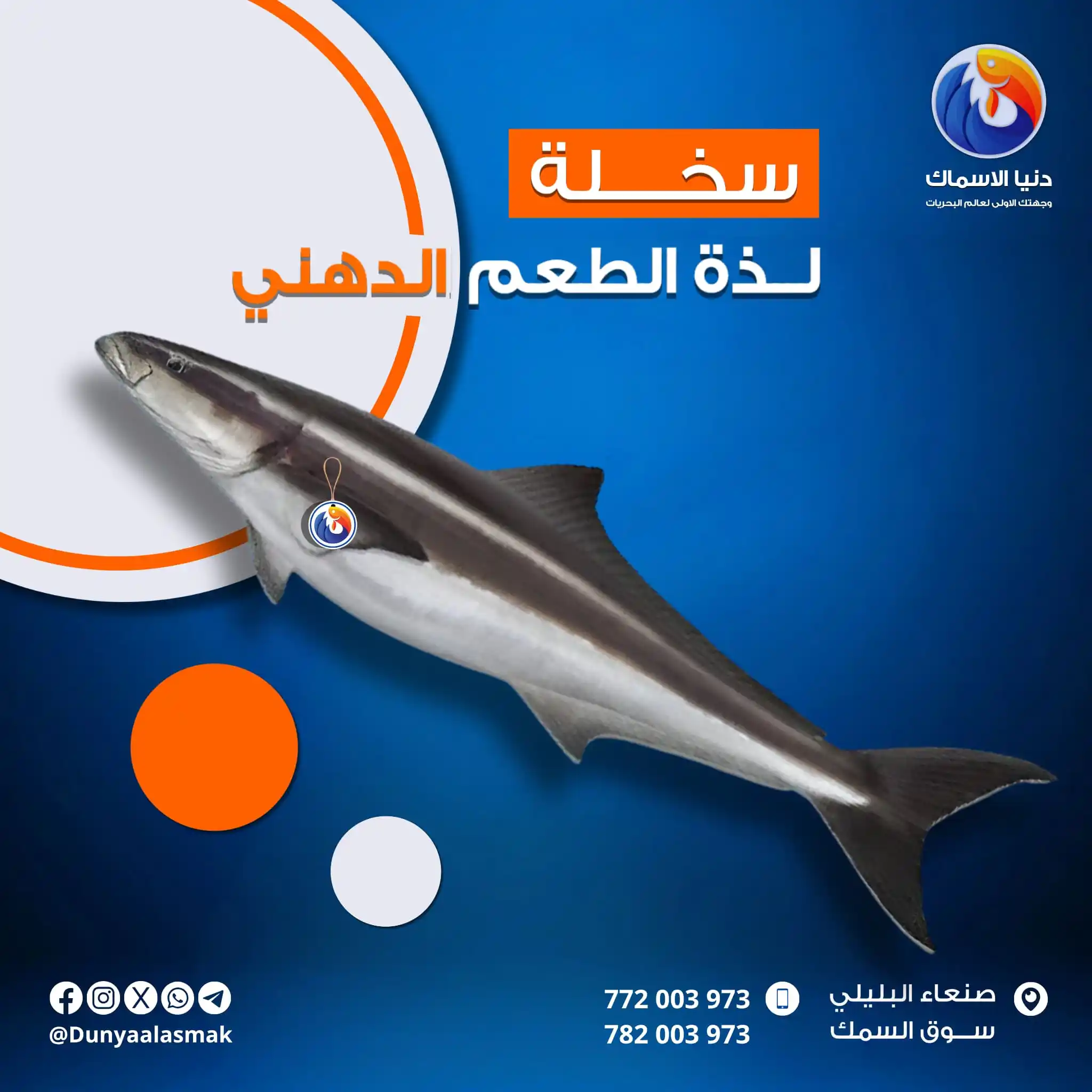 Image from دنيا الاسماك: سخــــــــلة🐟 لــذة الطعم الدهني😋 يعتبر سمك السخلة من الاسماك الزيت...