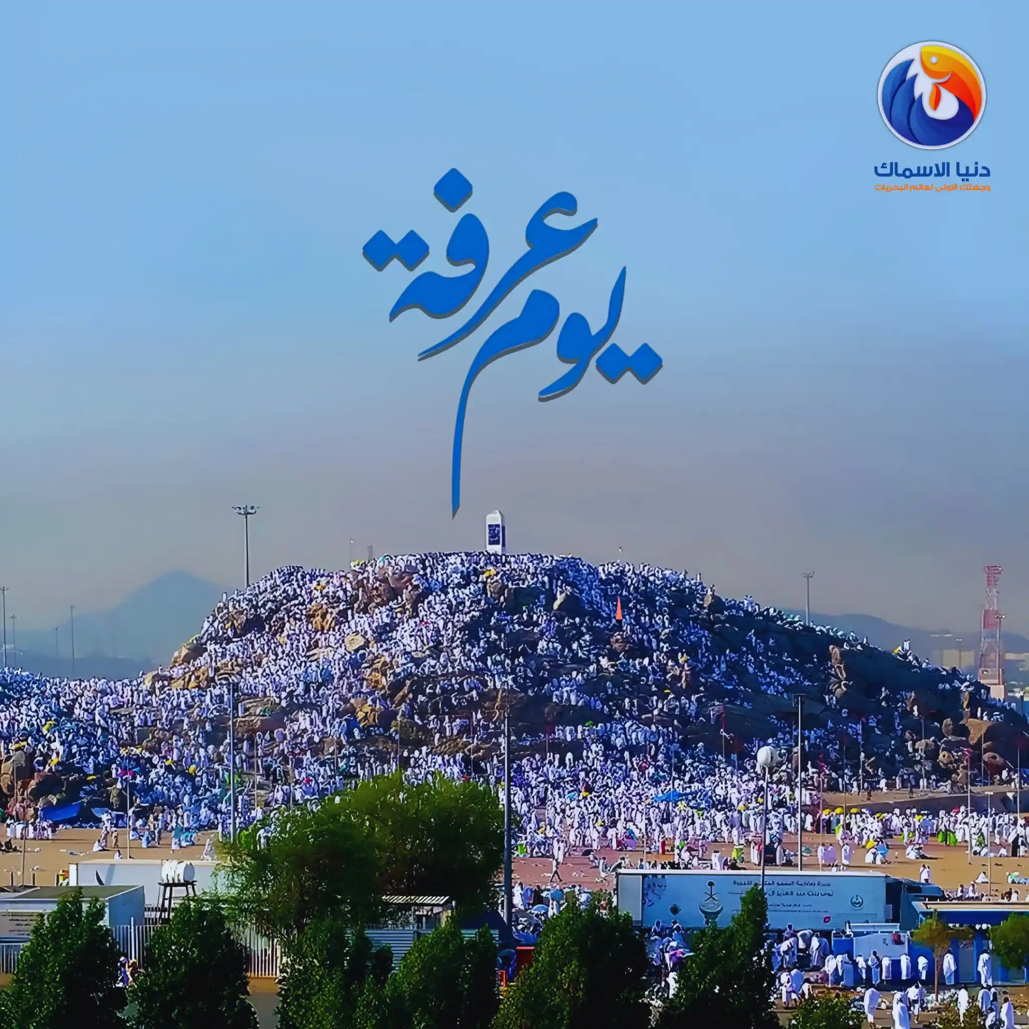 Image from دنيا الاسماك: يوم عرفة لا تنسوا الدعاء لأهلنا في غـ𓂆ـزة وفي هذا اليوم يكون أكثر ا...