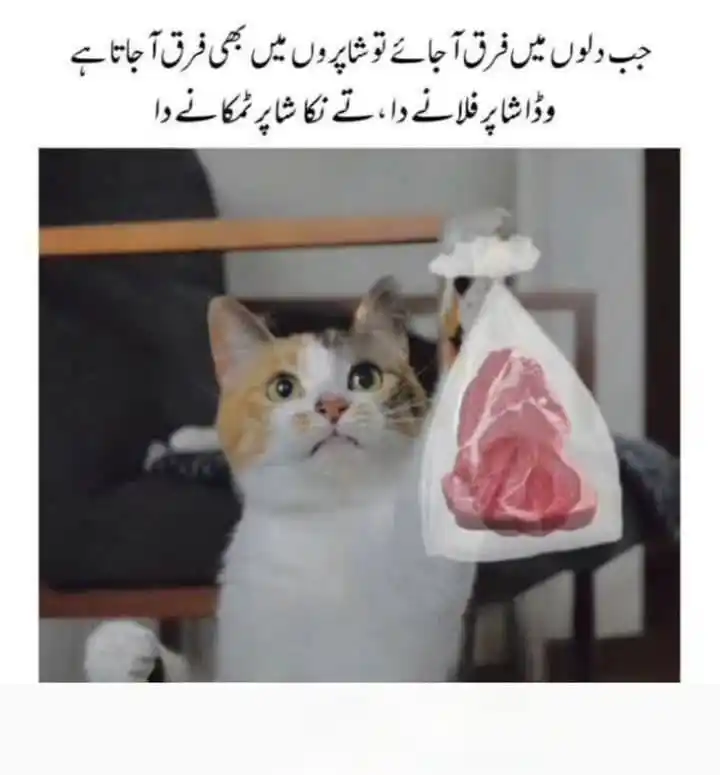 شیطانیاں post