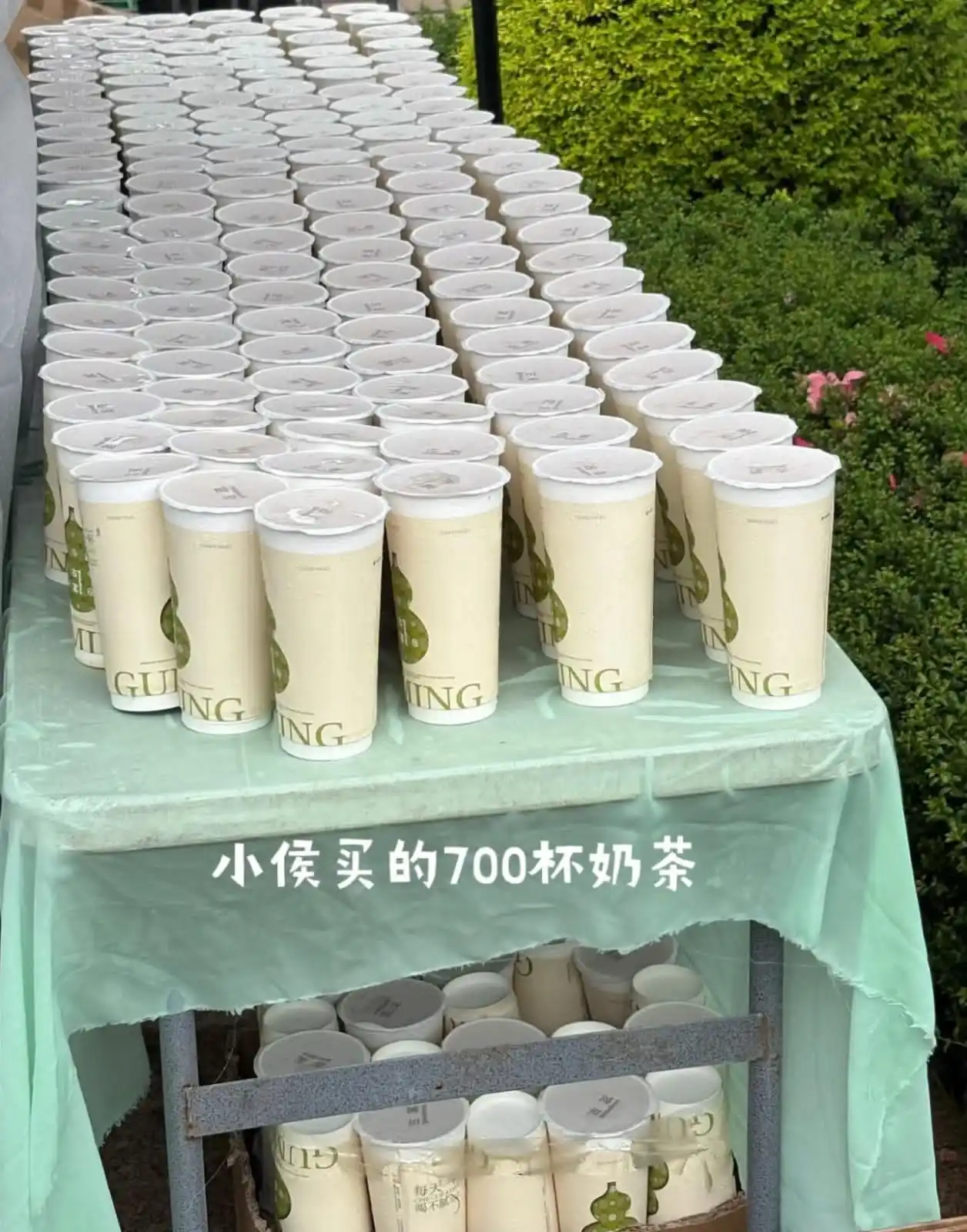 Image from Hou Minghao (Neo) 🥝: Hou Minghao memesan 700 gelas milk tea untuk Kiwi yang hadir...