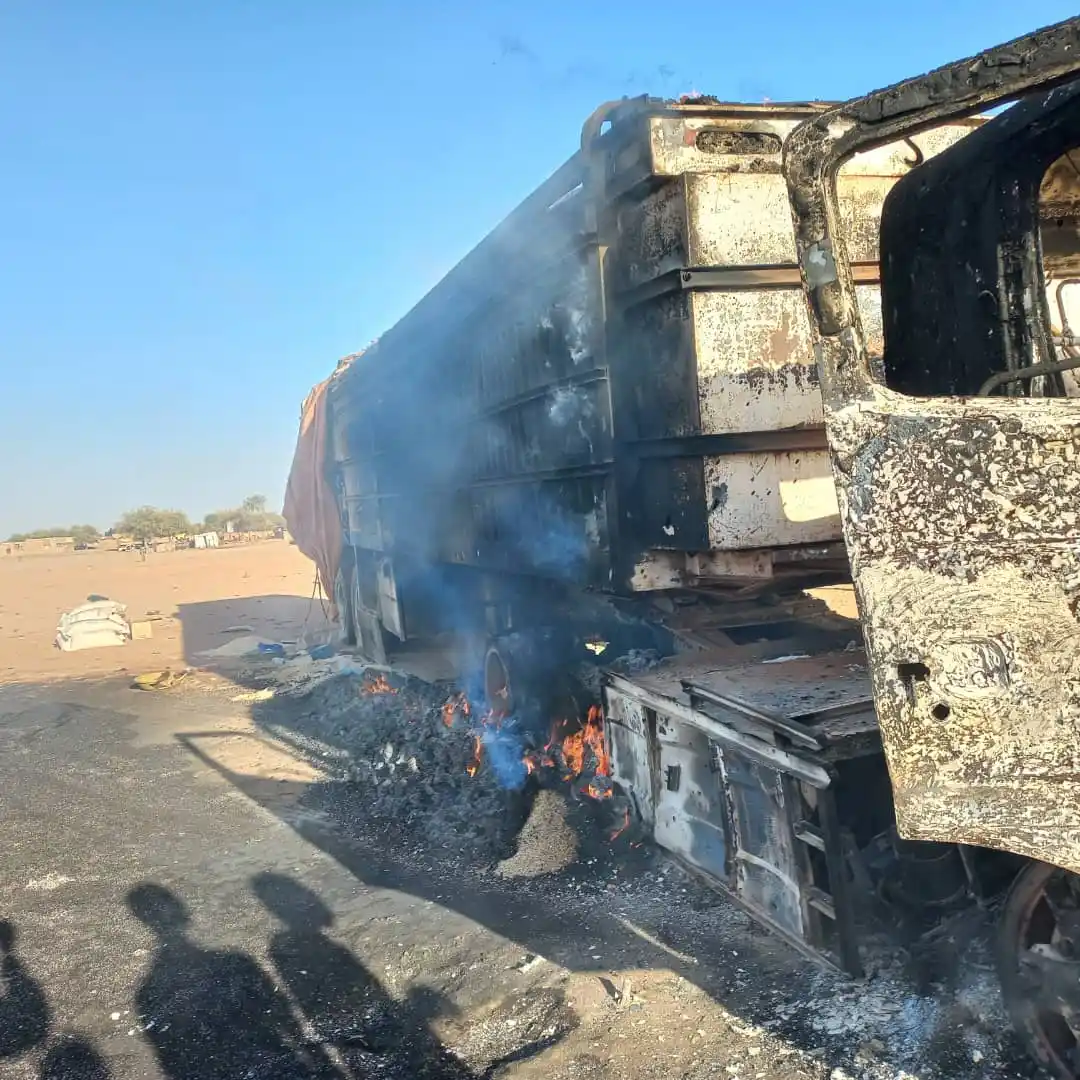 Darfur Victims Support Organization post