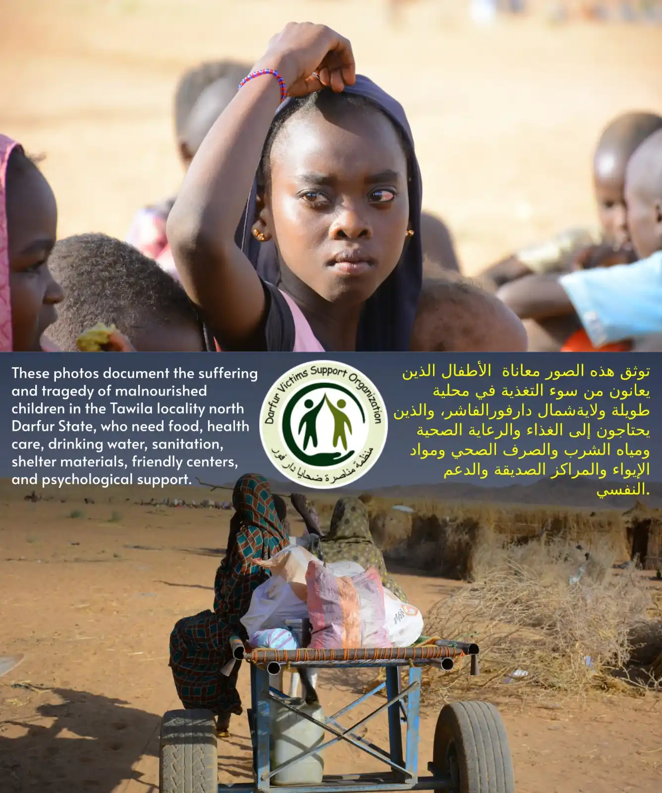 Darfur Victims Support Organization post