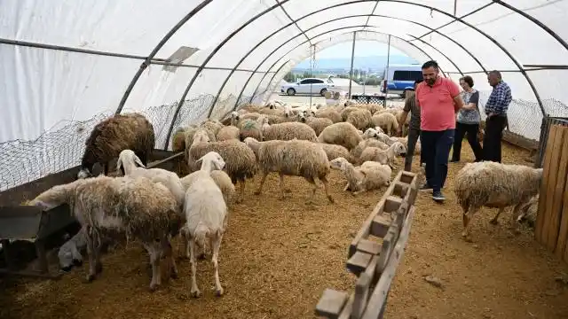 Image from نيو ترك بوست: في ثاني أيام العيد.. ازدحام أماكن الذبح في أنقرة لقراءة الخبر👇👇 http...