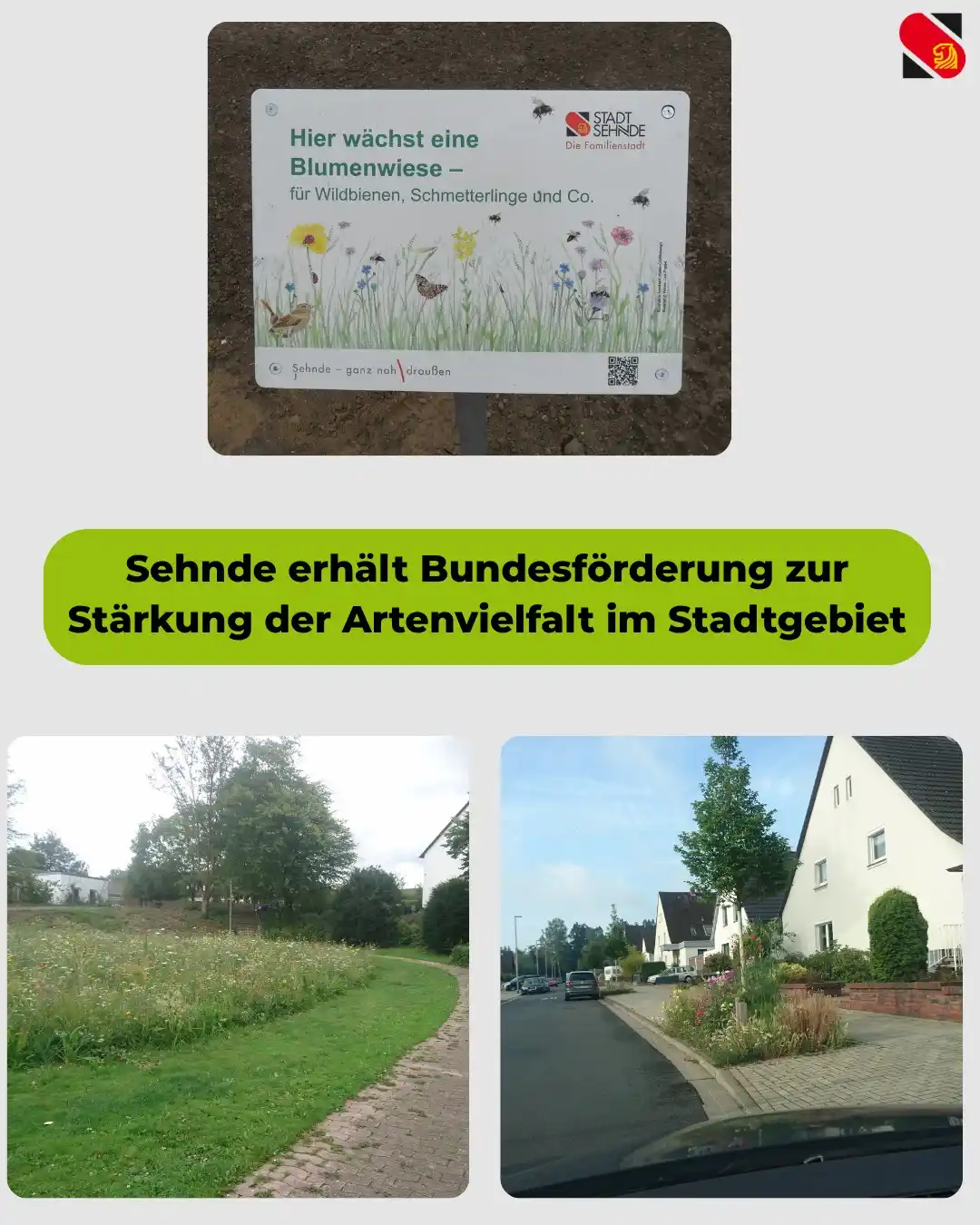 Image from Stadt Sehnde: 🌿 Zum <a class="text-blue-500 hover:underline cursor-pointer" href="/...