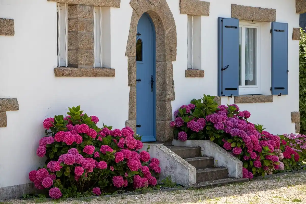 Image from Le Journal de la Maison: 🌙 Bonsoir à tous ! Découvrez les articles incontournables qui ont mar...