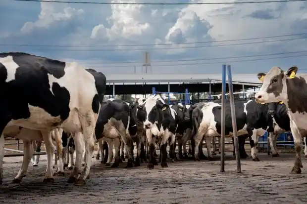Image from eDairy News México: 🙌 Buen Día!! eDairy News - Noticias y Novedades: ✅ *“Chapingo te ali...