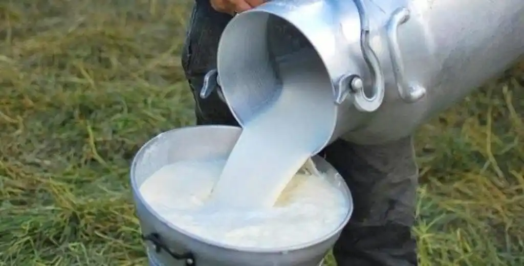 Image from eDairy News México: 🙌 Buen Día!! eDairy News - Noticias y Novedades: ✅ *Pega por todos l...