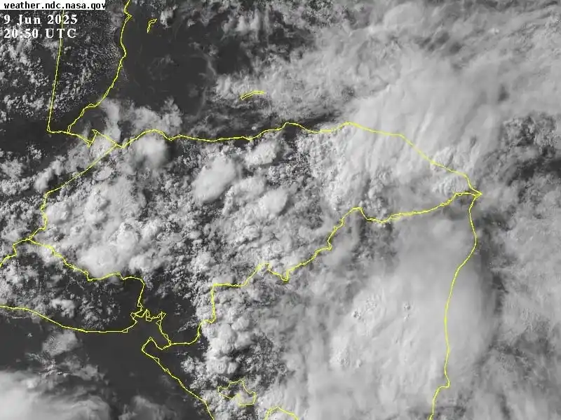 Image from Enfoque Digital HN: EDHN 🌧️|| A esta hora de la tarde se reportan lluvias ☔️ y chubascos ...