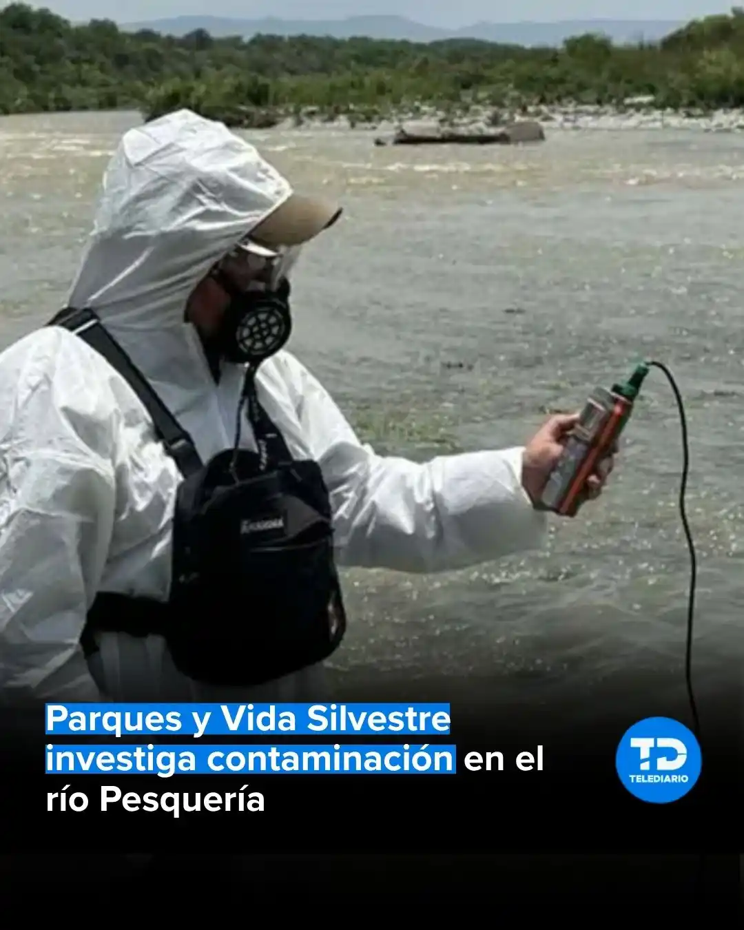 Image from TELEDIARIO MONTERREY📺🔵 #CercaDeTi: Luego de que Telediario diera a conocer la muerte masiva de peces en e...