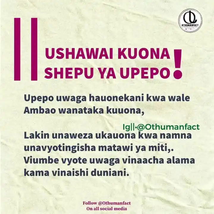 Image from ๐ข๐ง๐๐จ๐ ๐๐ก ๐๐๐๐ง: Upepo hauna sura, hauna rangi, hauna umbo lakini kila mtu anaujua ukip...