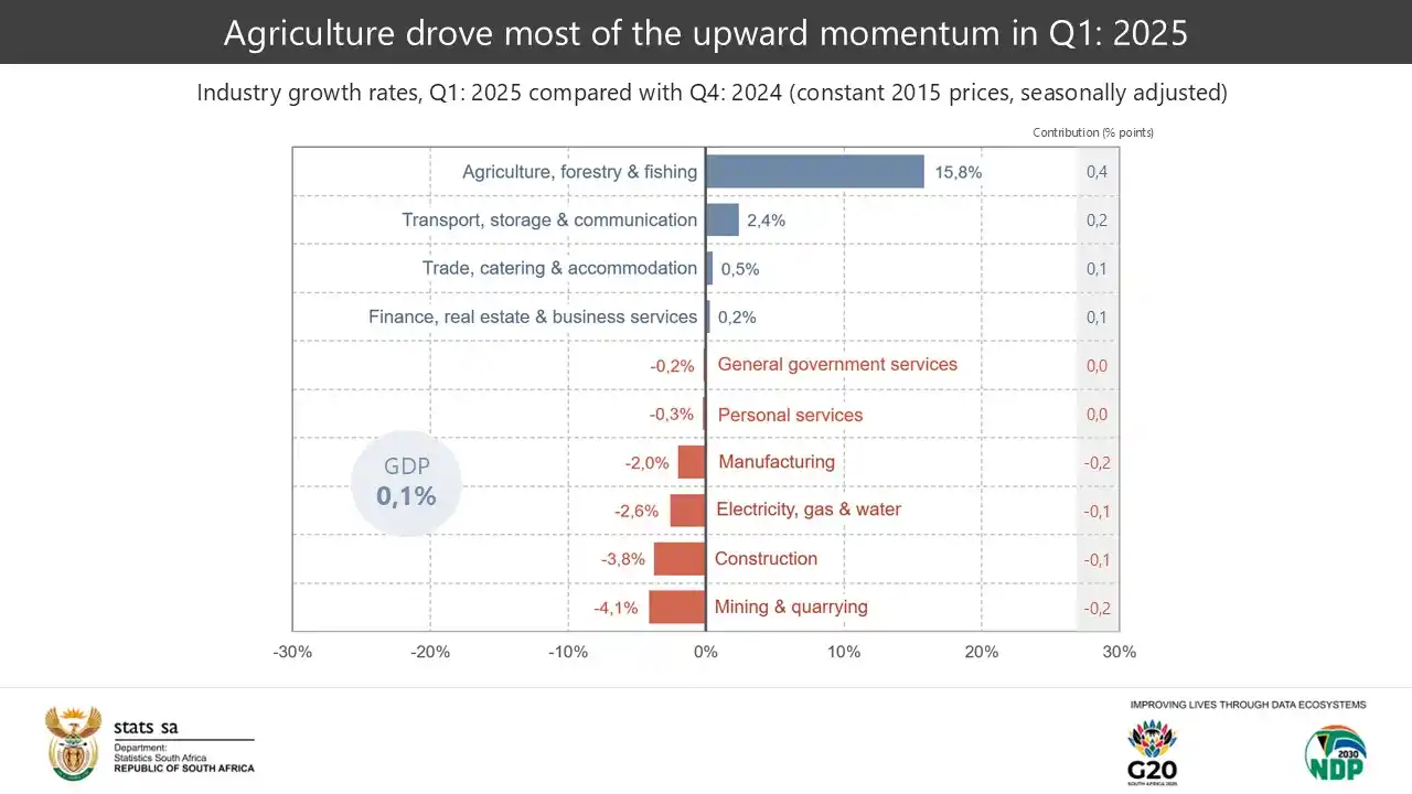 Image from Statistics South Africa: *<a class="text-blue-500 hover:underline cursor-pointer" href="/hashta...
