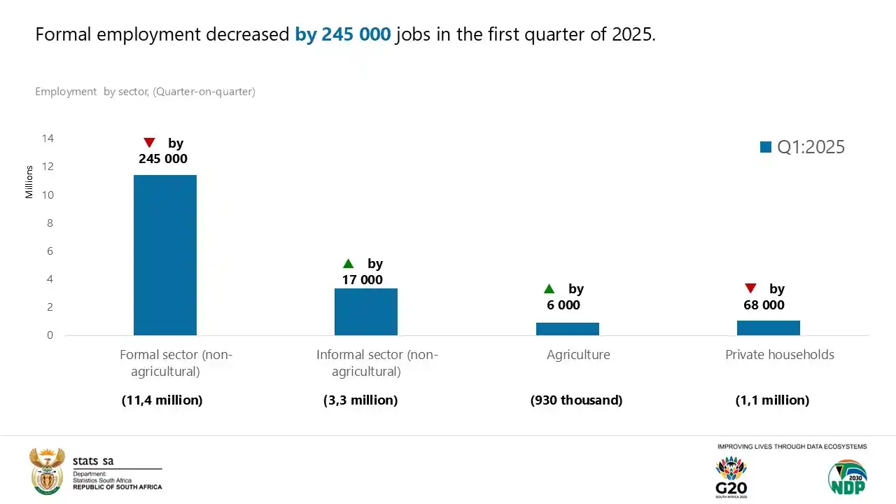Image from Statistics South Africa: *<a class="text-blue-500 hover:underline cursor-pointer" href="/hashta...