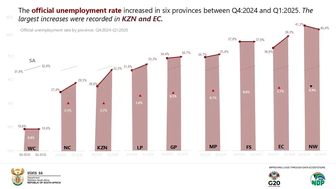 Image from Statistics South Africa: *<a class="text-blue-500 hover:underline cursor-pointer" href="/hashta...