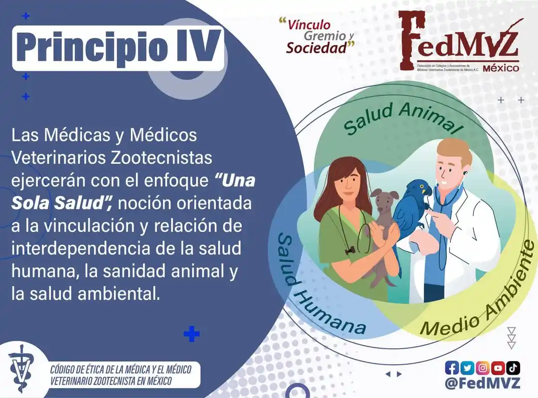 Image from FedMVZ: De acuerdo con el Principio IV del Código de Ética, las Médicas y los ...