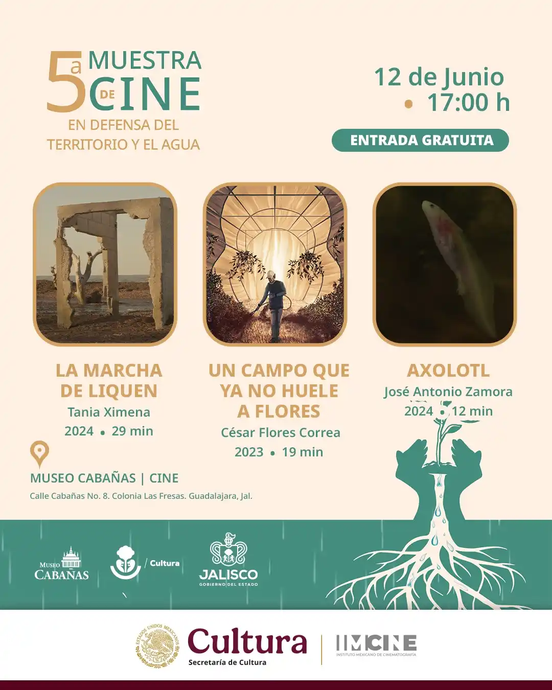 Image from CINE CABAÑAS: 📽 En colaboración con el Instituto Mexicano de Cinematografía, te inv...