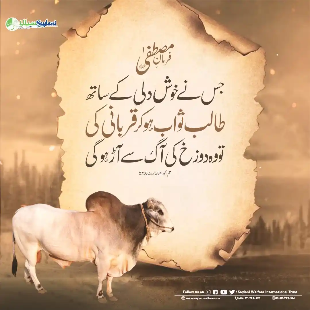 Image from Saylani Welfare International Trust.: > *فرمان مصطفےصلّی اللہ علیہ واٰلہ وسلّم!* * *Is Eid, apni Qurbani ko...