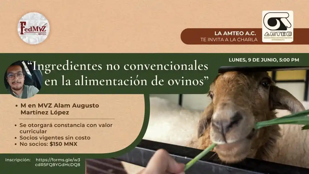 Image from FedMVZ: La Asociación Mexicana de Técnicos Especialistas en Ovinocultura A.C. ...
