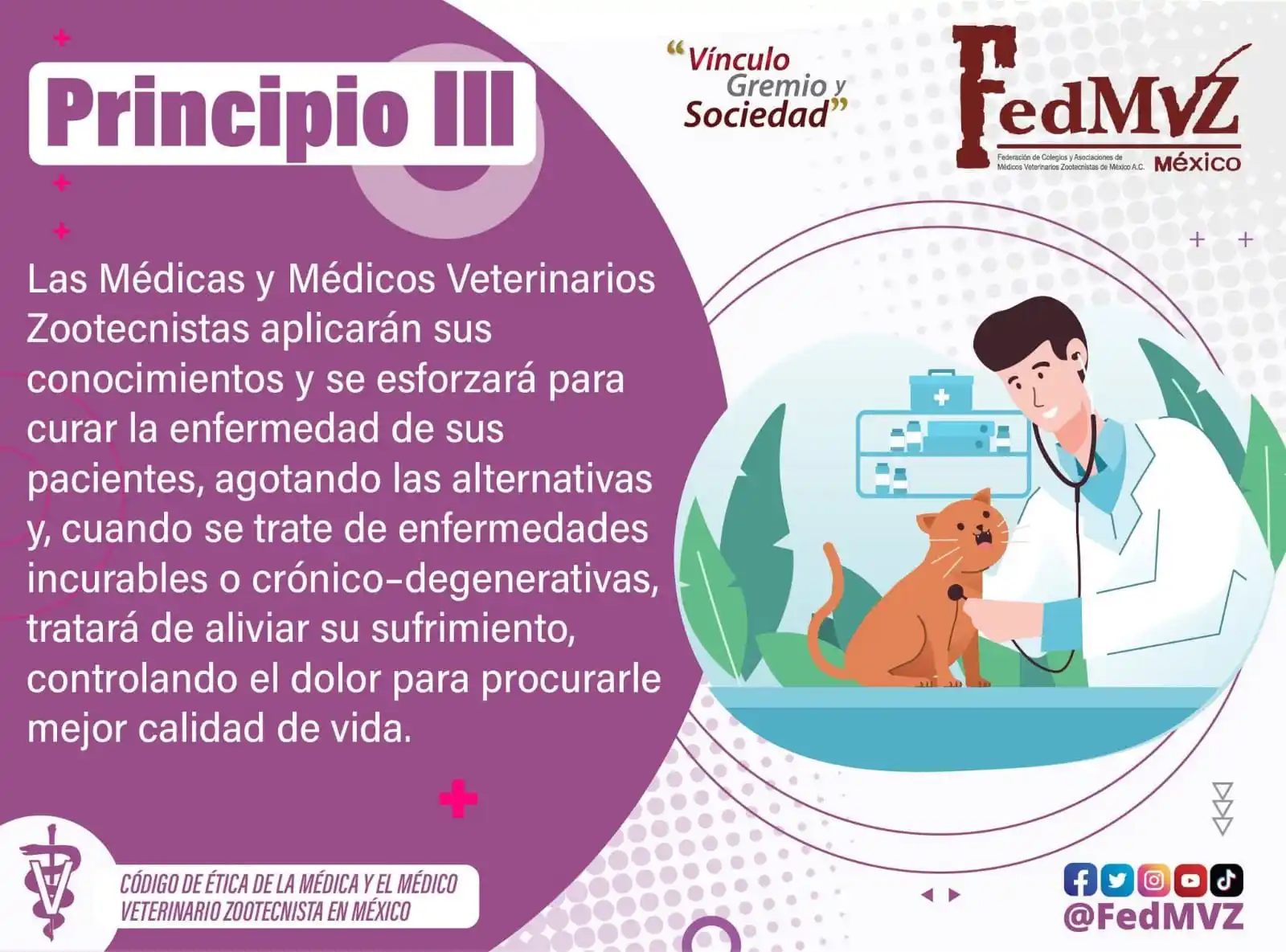 Image from FedMVZ: Las médicas y los médicos veterinarios zootecnistas tenemos la respons...
