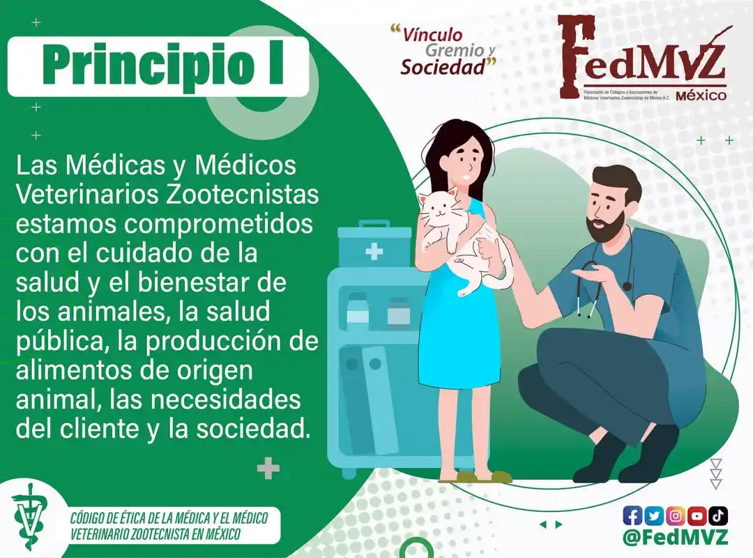 Image from FedMVZ: <a class="text-blue-500 hover:underline cursor-pointer" href="/hashtag...