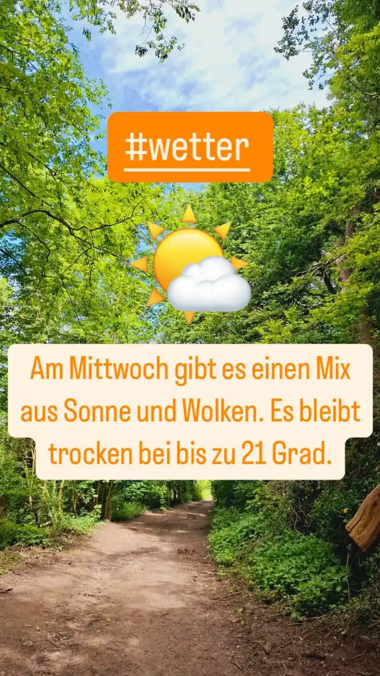 Radio Neandertal post