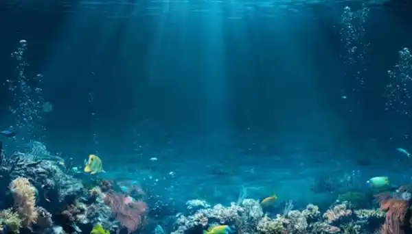 Image from الصحوة نت: *اليمن تؤكد التزامها بحماية المحيطات وتدعو لتعاون دولي لمواجهة التحديا...