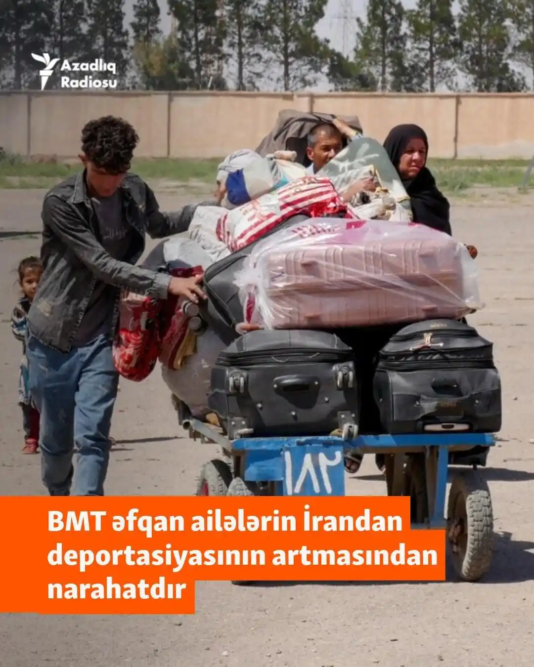 Image from AzadliqRadiosu: BMT-nin Beynəlxalq Miqrasiya Təşkilatı (IOM) İrandan deportasiya oluna...