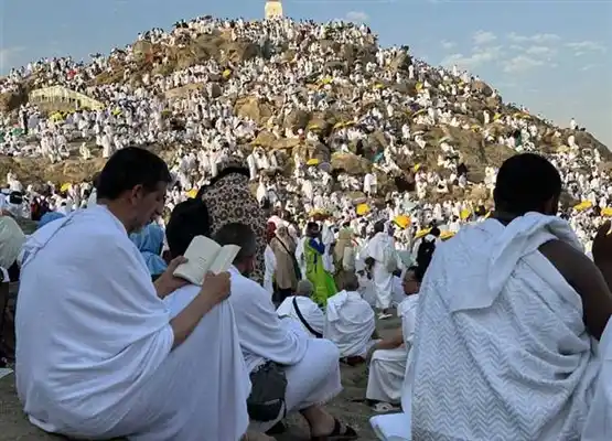 الصحوة نت post