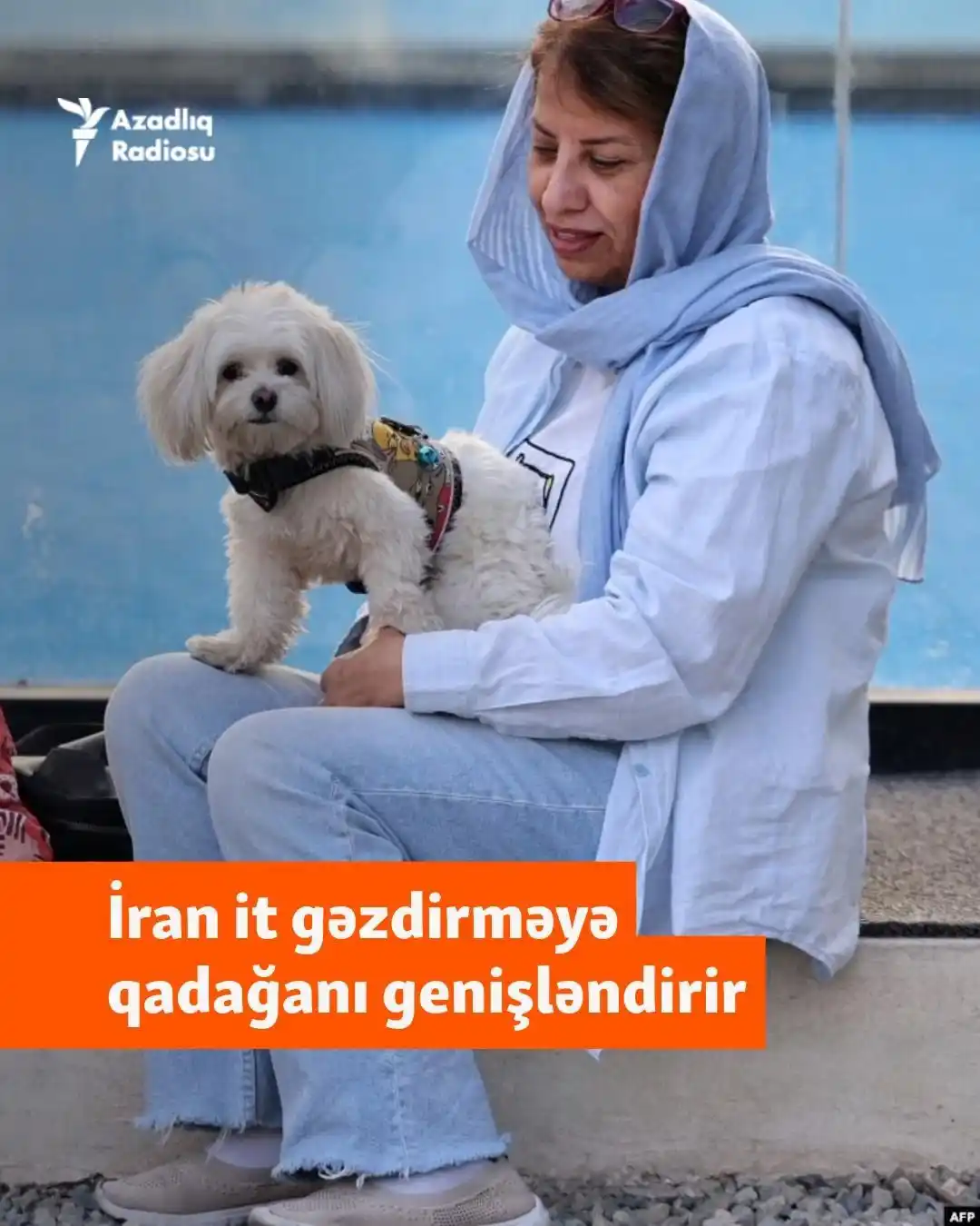 Image from AzadliqRadiosu: İran hakimiyyəti ictimai yerlərdə it gəzdirməyə qoyulan qadağanı əhəmi...