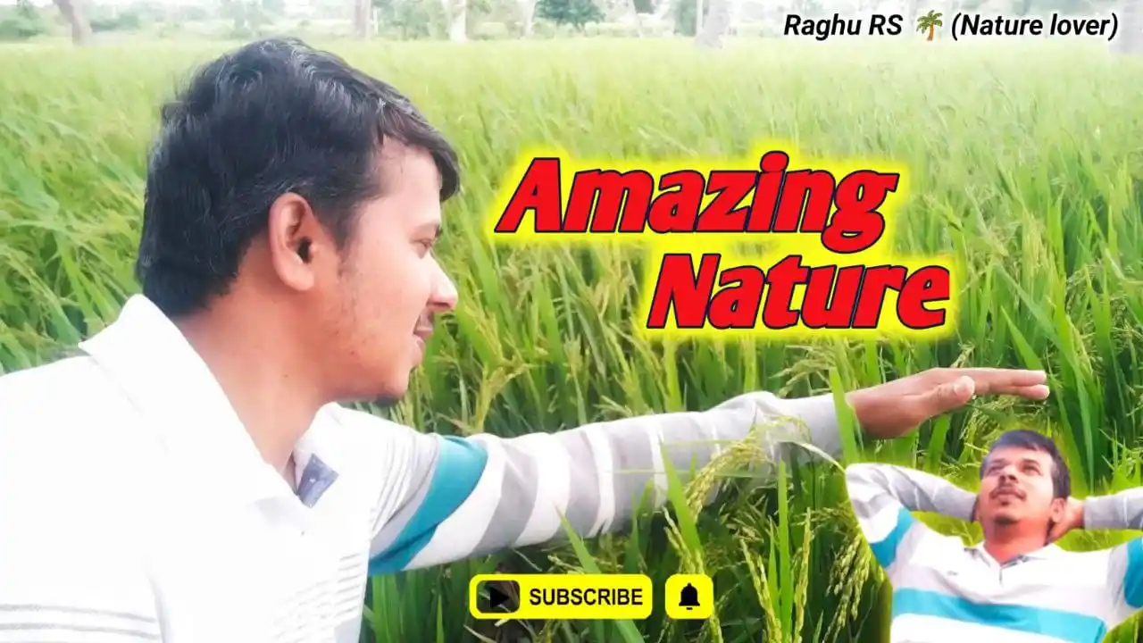 Image from TET GPSTR & HSTR 2024-25: Must watch & comment below and share 👇 https://youtu.be/TrBr03wKKXs?s...