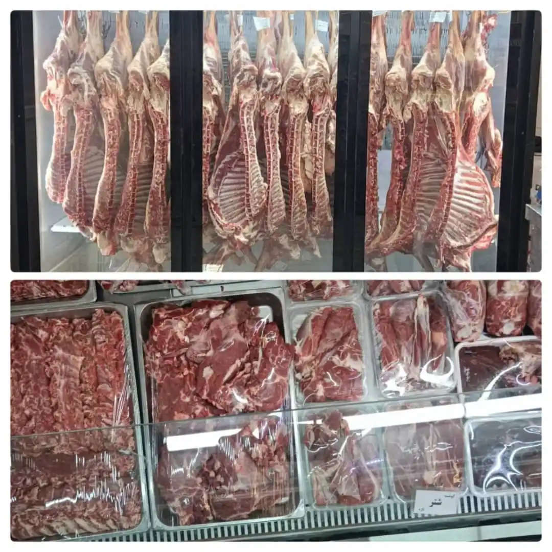 Image from شیرازی ها 😍: *مژده به همشهریان عزیز شیرازی* *تخفیف ویژه فروش مرغ و گوشت فقط به مدت...