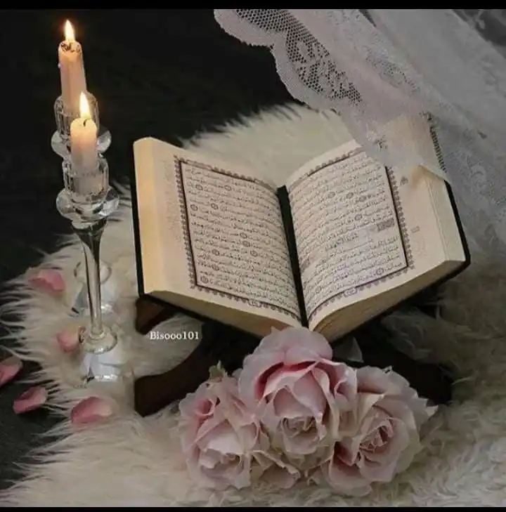 عصفورات بنات حبیبہؓ post