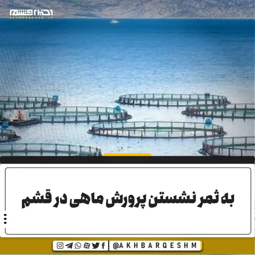 Image from کانال اخبار قشم: 🔺به ثمر نشستن پرورش ماهی در قشم در سال ۱۴۰۳ ماهیان پرورشی در جزیره ...