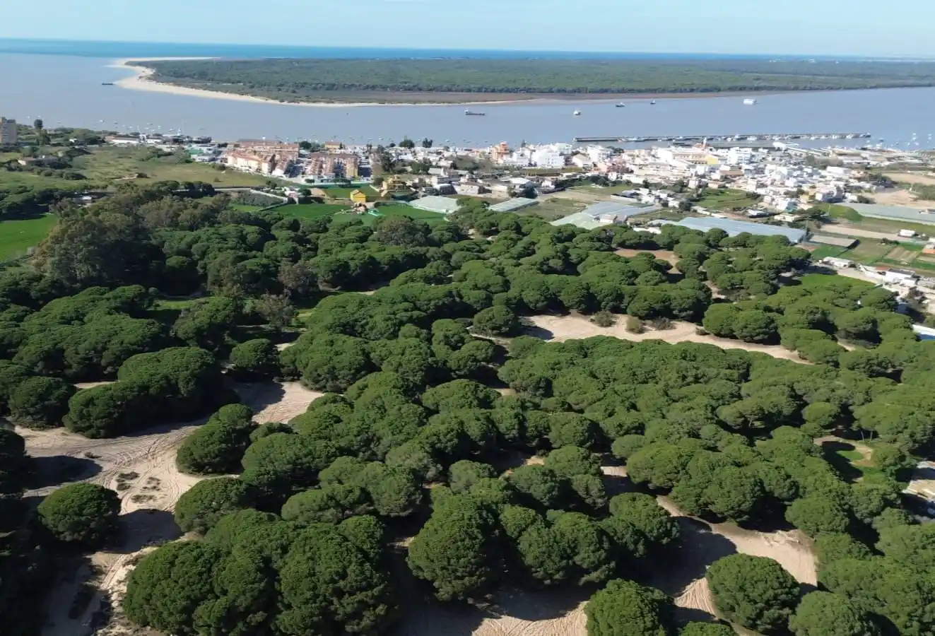 Image from Carmen Álvarez 🔻: 🌳Este paisaje único que veis en la imagen merece ser conservado. Es u...