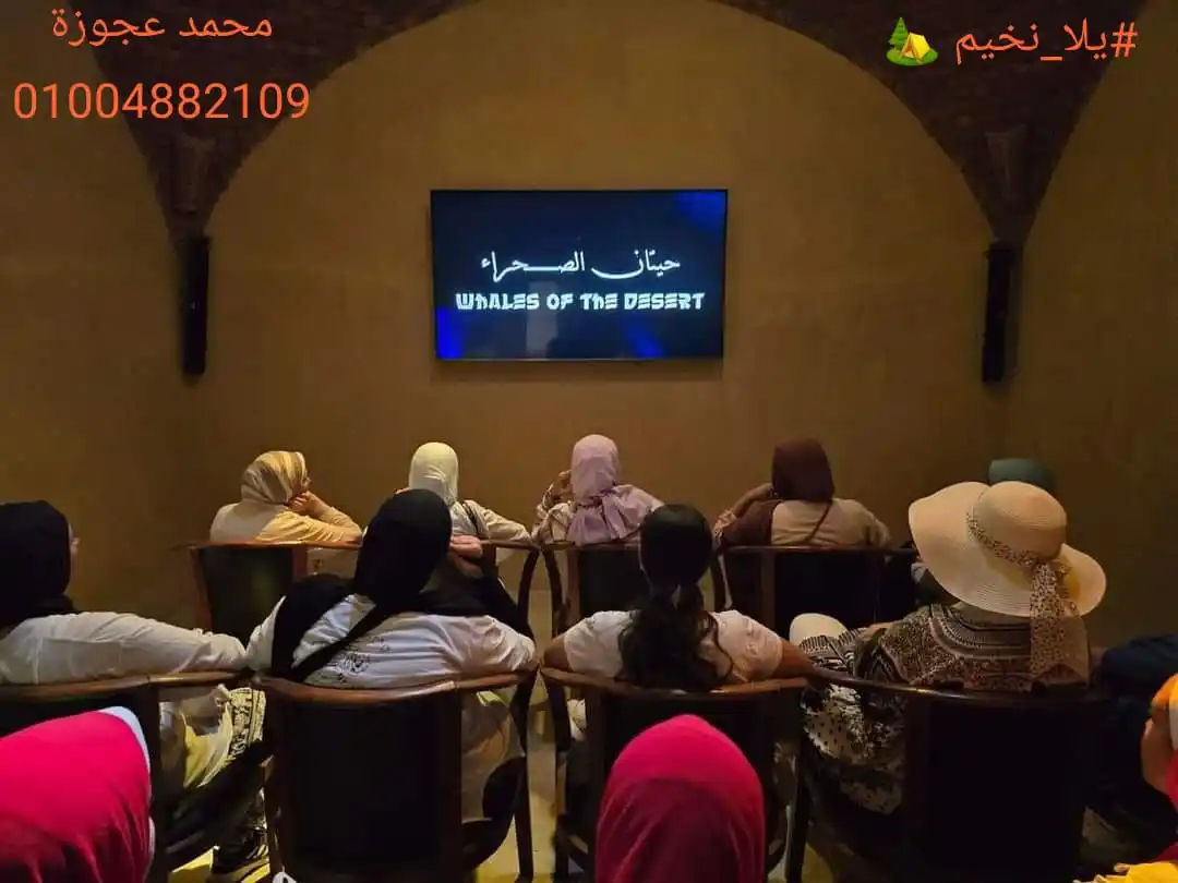 Image from يلا نخيم - Go camping: قبل ماتحجز تخييم وادي الحيتان اسأل الأول ( هل هيتم زيارة المتحف المغطى...