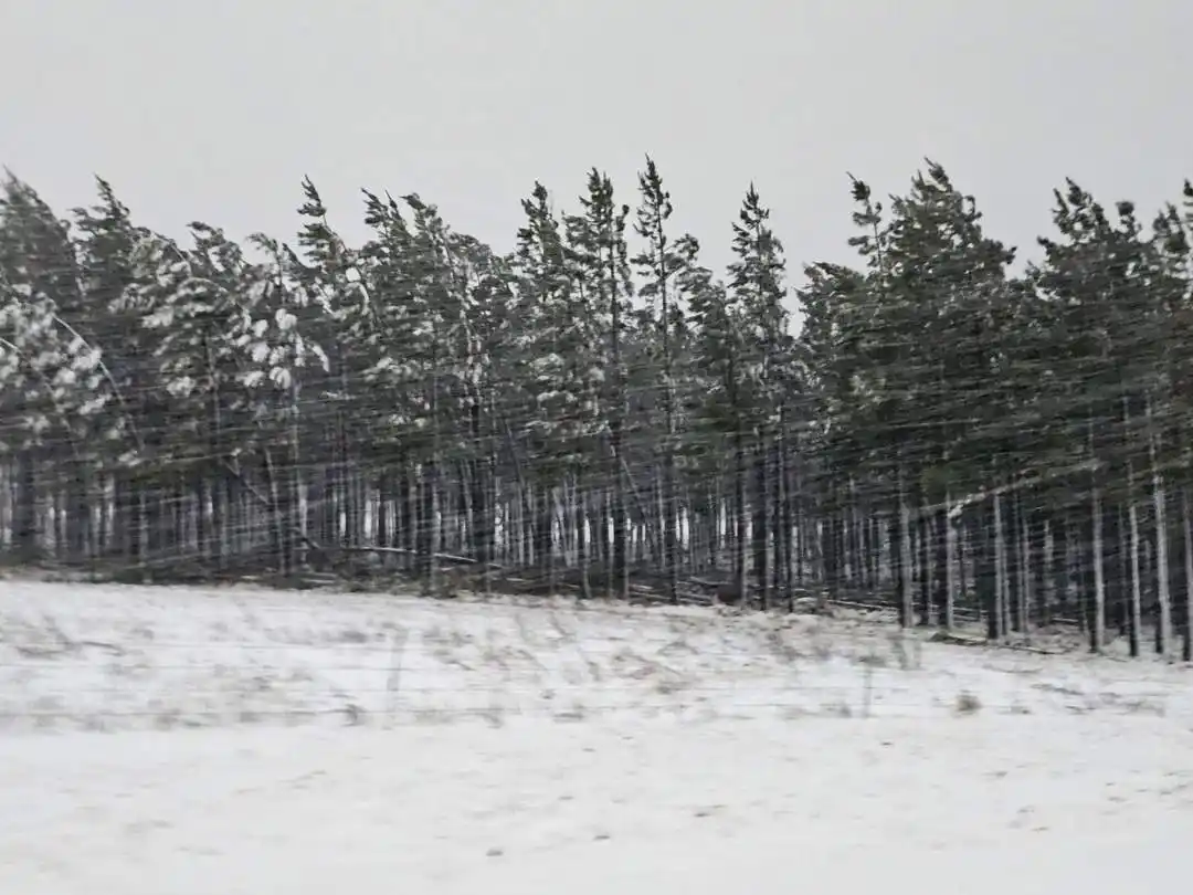 Image from Central News South Africa: 🔴N2 Highway Closed in KwaZulu-Natal Due to Heavy Snowfall, Motorists ...