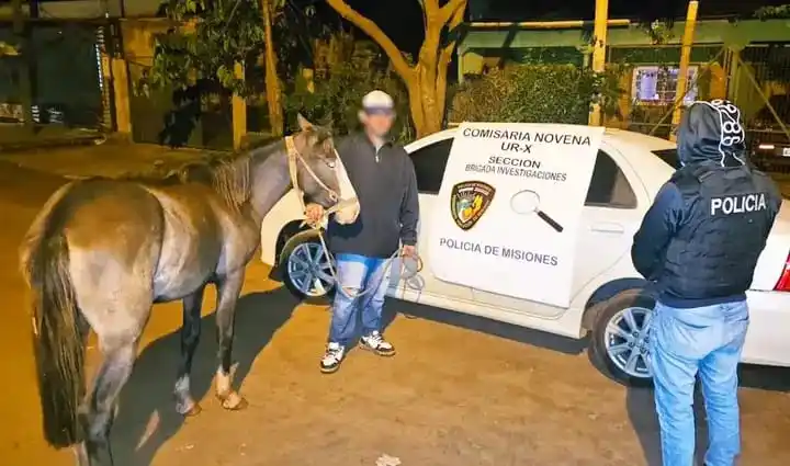 Image from El Misionerismo: *Paloma volvió a casa: la Policía recuperó a una yegua que era ofrecid...