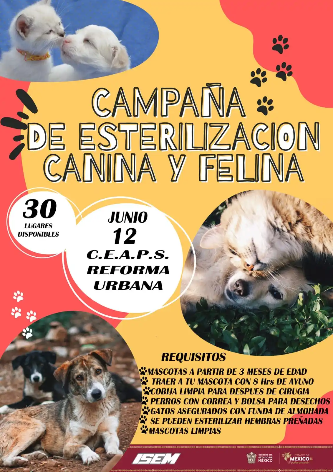 Image from Zoonosis Tlalnepantla: ⚠️ Para mas información acude días antes a la unidad de salud ⚠️ 12 d...