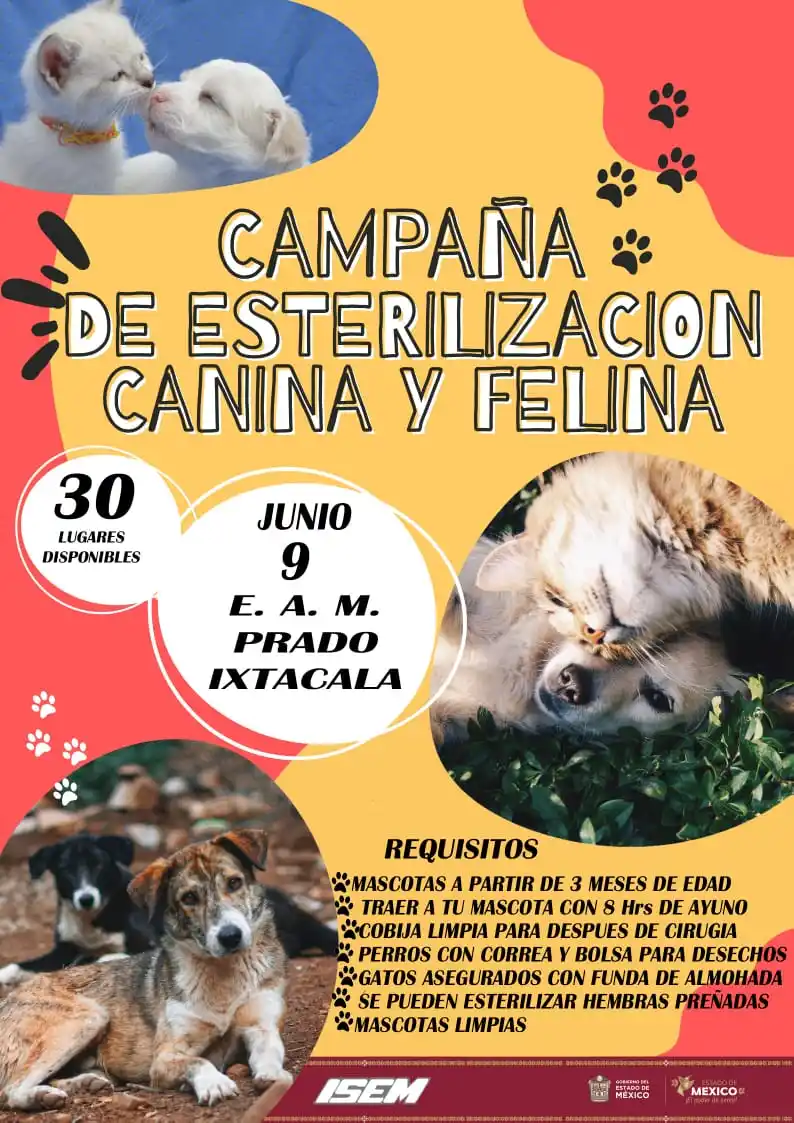 Image from Zoonosis Tlalnepantla: ⚠️ Para mas información acude días antes a la unidad de salud ⚠️ 9 de...