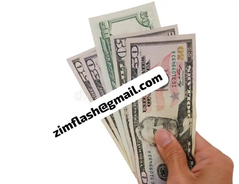 EARN💰ZIMFLASH post