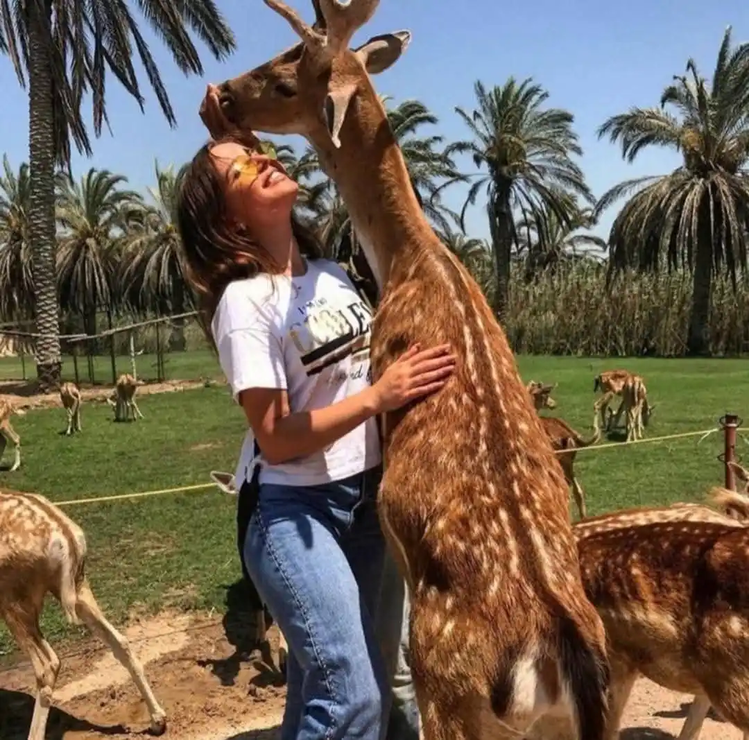Image from يلا نخيم - Go camping: تتحدى نفسك تعمل كل ده في يوم؟ تمشي وسط القرود اللي بتتنطط؟ تضحك مع ...