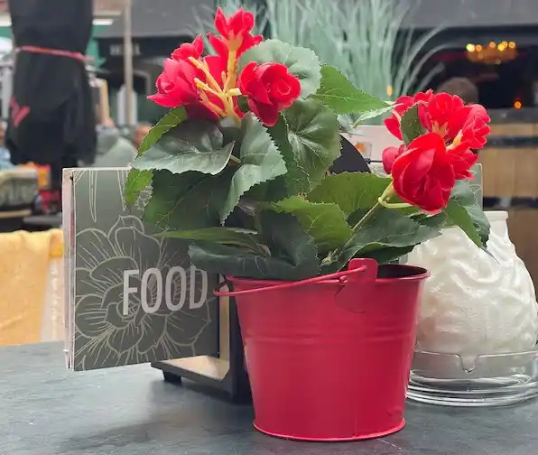 Image from PZC: Zet je leuke potjes met *mooie plantjes op je terras* om het gezellig ...