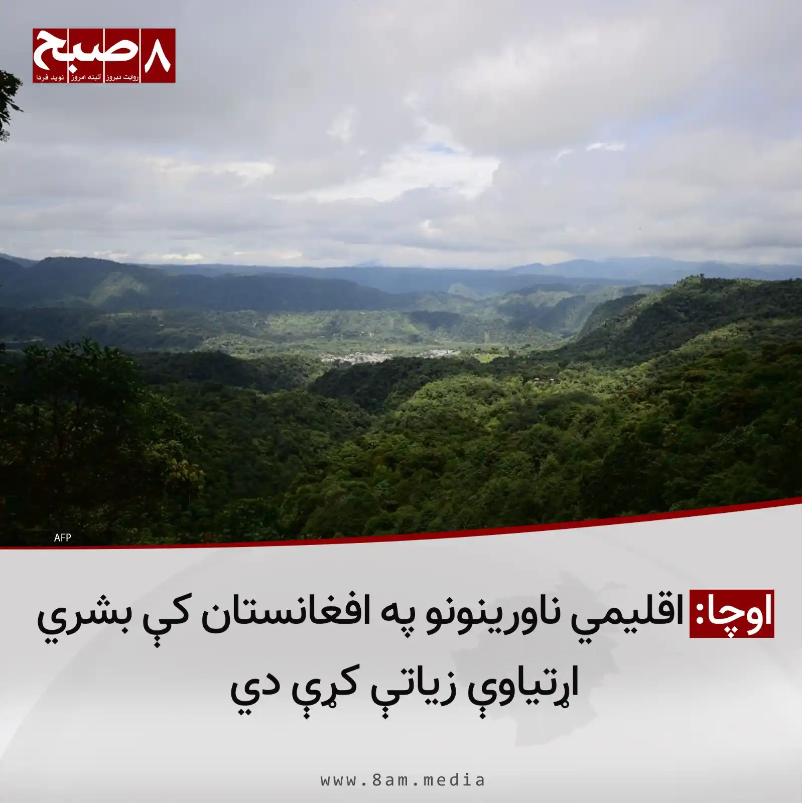 Image from 8AM MEDIA: ۸صبح، کابل: د چاپېریال ساتنې د نړیوالې ورځې په مناسبت د ملګرو ملتونو د...