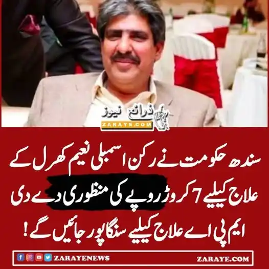 Image from Zaraye News: ایم ی اے جگر کے پیچیدہ مرض میں مبتلا ہیں، علاج سنگاپور میں ہوگا۔۔ محکم...