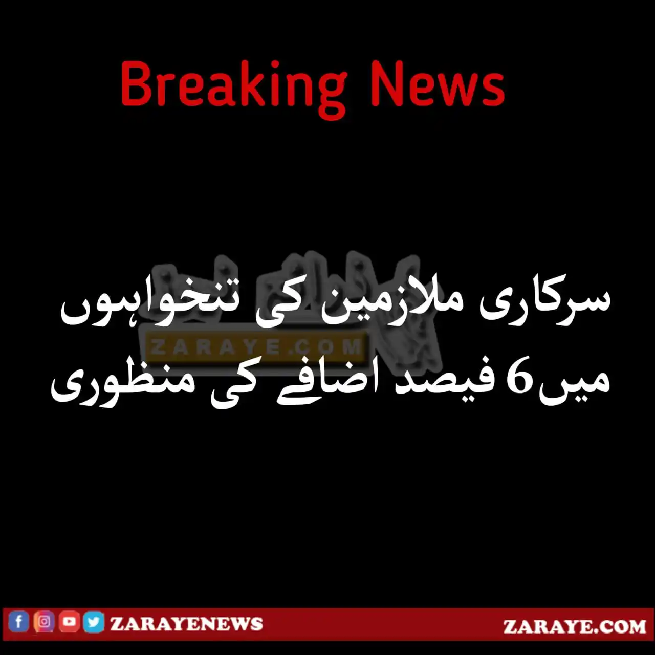 Image from Zaraye News: بجٹ <a class="text-blue-500 hover:underline cursor-pointer" href="/has...