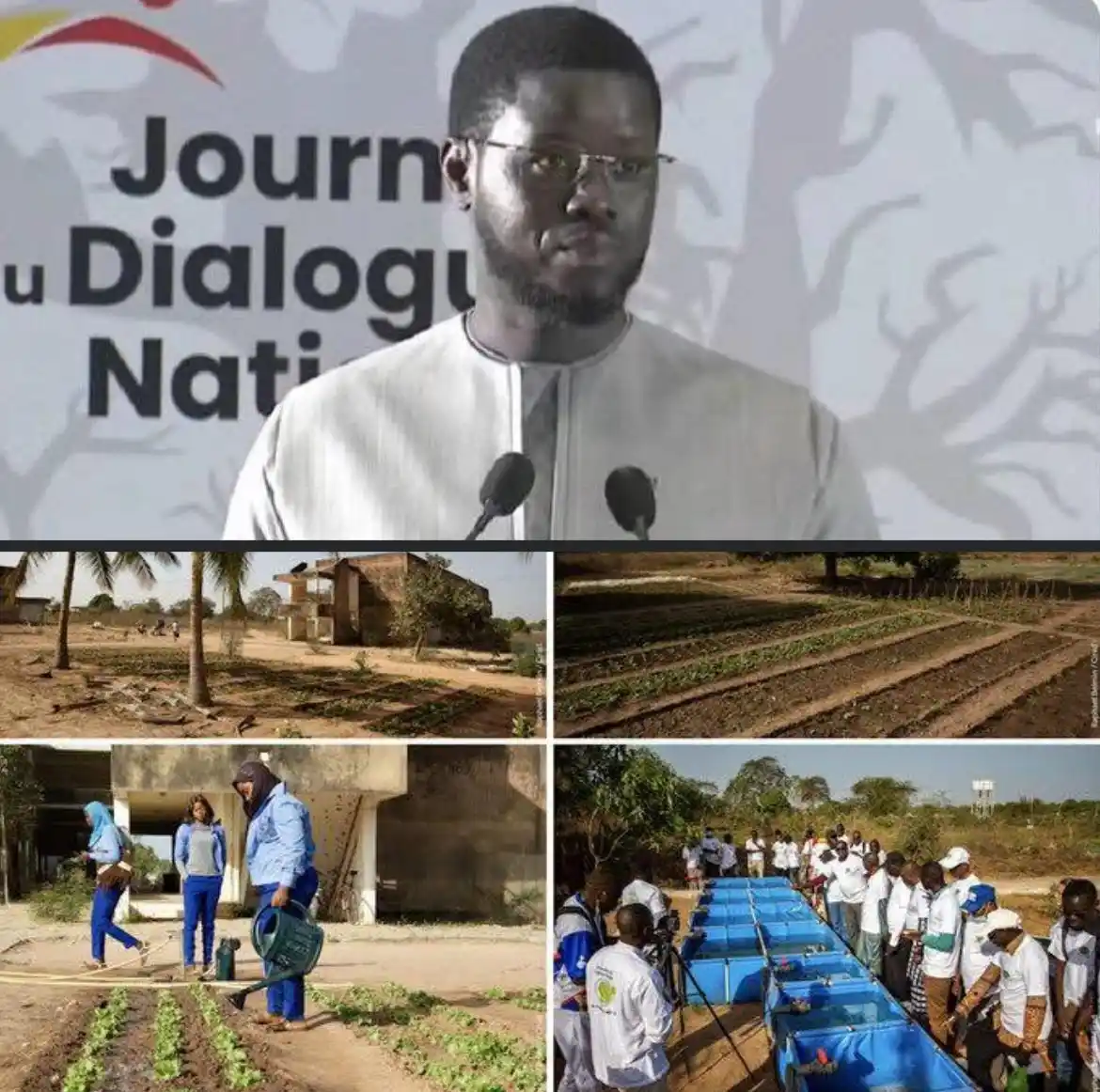 Image from PASTEF-Les Patriotes -/2050 🇸🇳: Le Président de la République a indiqué au Gouvernement la nécessité d...